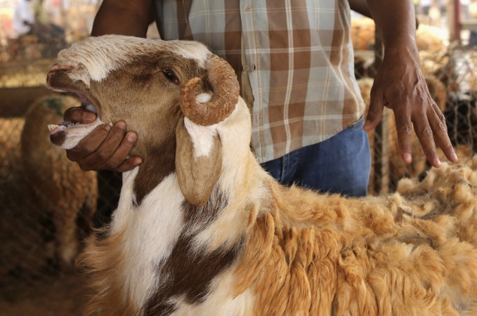 http://data1.ibtimes.co.in/cache-img-0-450/en/full/539355/1473272355_eid-al-adha-2015-india-confirmed-state-wise-dates-feast-sacrifice-across-india.jpg