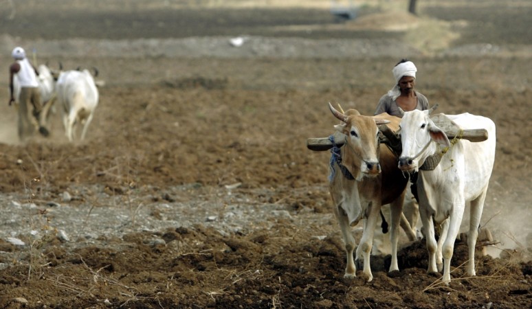 farmers maharashtra