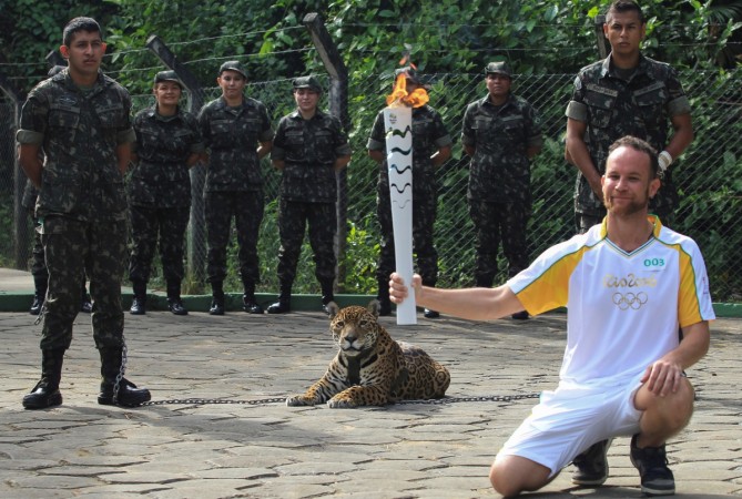 Juma the jaguar