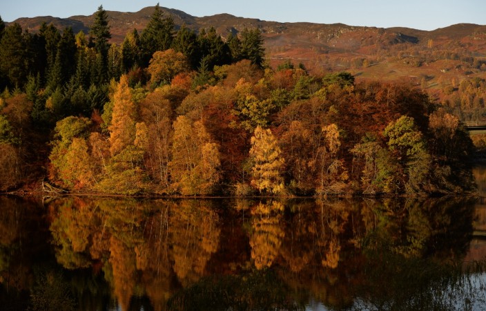 Autumnal leaves are reflected in Loch Faskally, near Pitlochry, Scotland Autumn Equinox