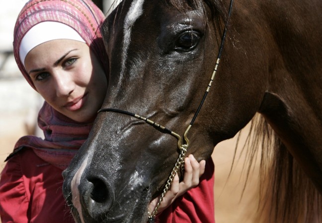 Horse