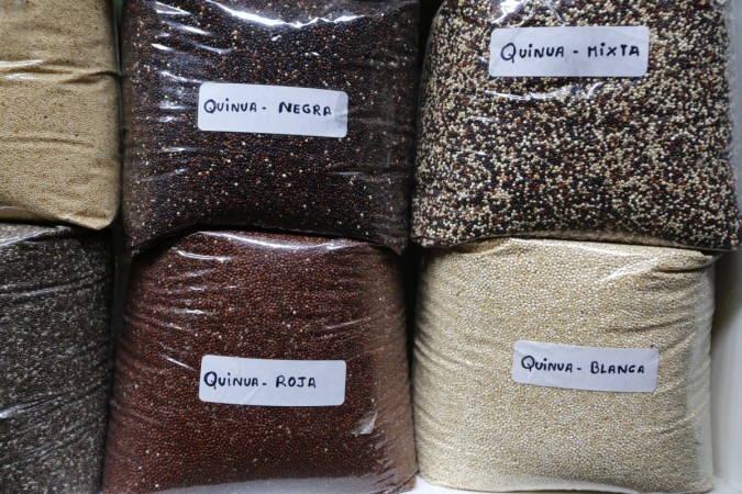 Varieties of quinoa
