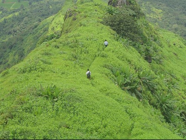 Kamshet is known for paragliding and hang gliding activities. Kamshet