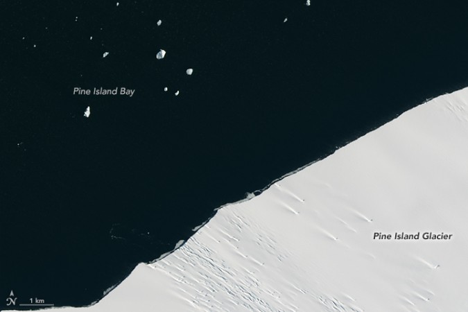 An image taken on January 24, 2017, before the Pine island iceberg breakage took place. NASA, Antarctica, iceberg, environment,
