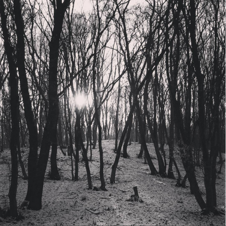 Hoia Forest Hoia Forest