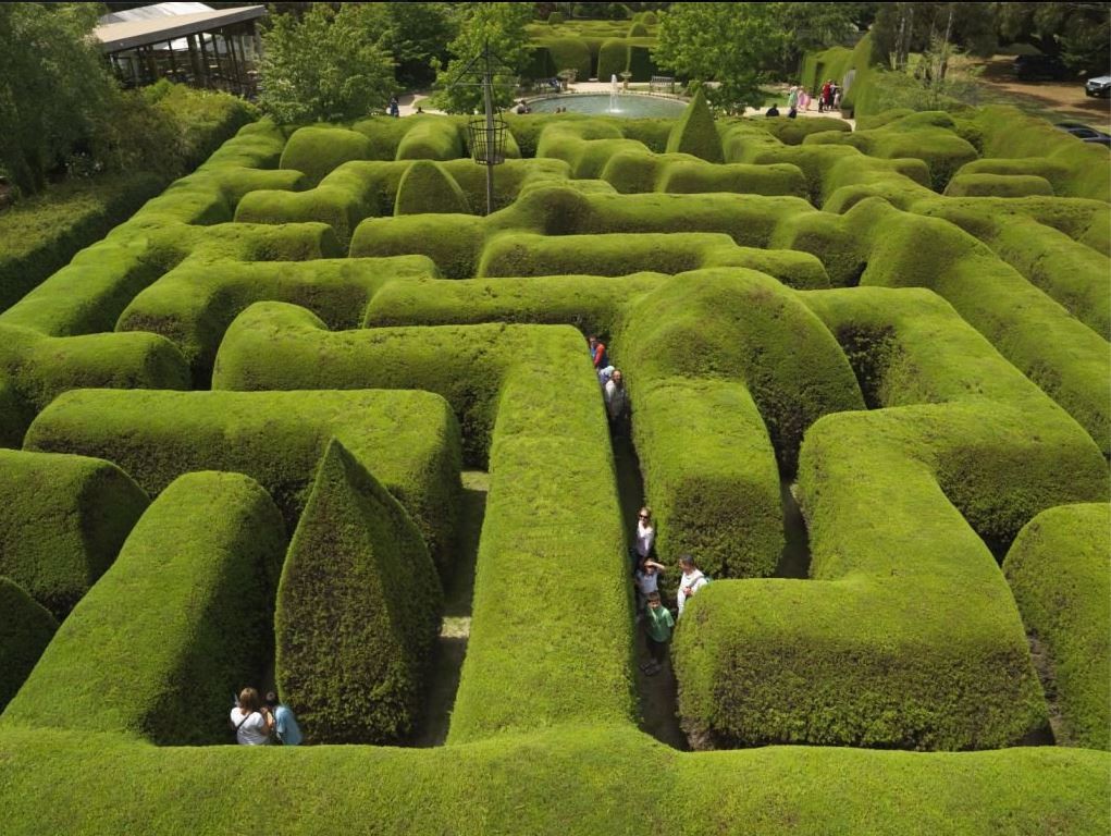 Ashcombe maze Ashcombe maze