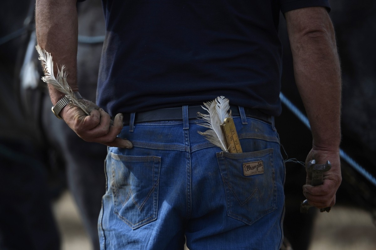 A competitor puts a measuring feather in his pocket at the Irish National Ploughing Championships in Tullamore, Ireland September 20, 2016.