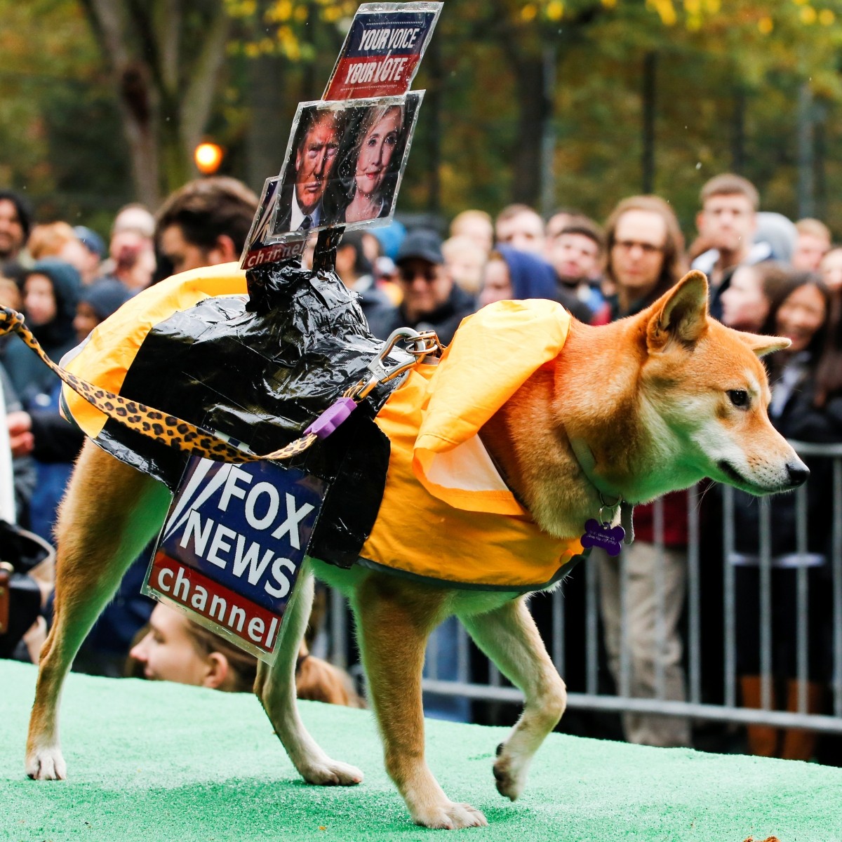 A dog dressed as Fox News channel with the pictures of Democratic U.S. presidential nominee Hillary Clinton (R) and Republican U.S. presidential nominee Donald Trump takes part in the annual halloween dog parade at Manhattan's Tompkins Square Park in New York, U.S. October 22, 2016.