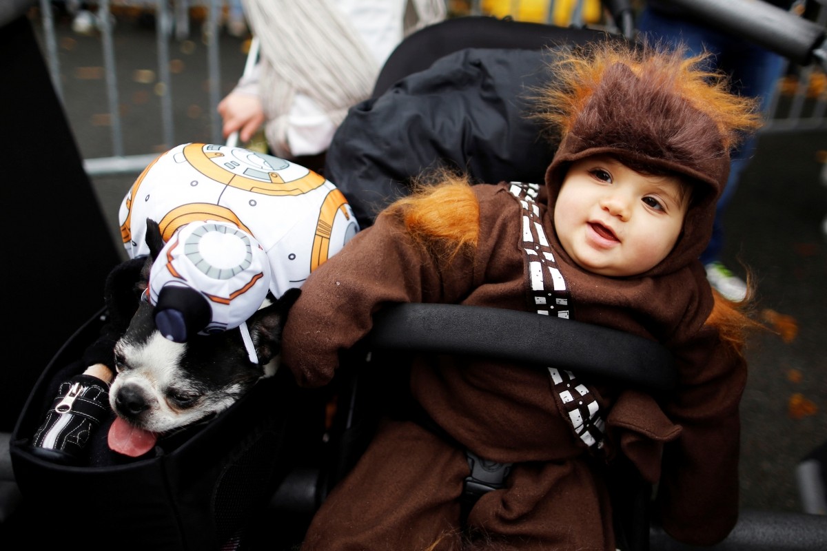 Revellers take part in the annual halloween dog parade at Manhattan's Tompkins Square Park in New York, U.S. October 22, 2016.