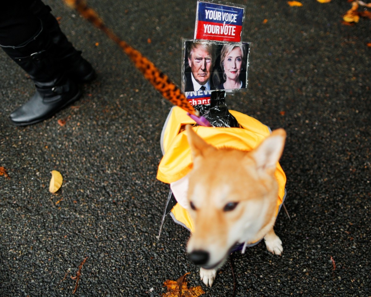 A dog dressed as Fox News channel with the pictures of Democratic U.S. presidential nominee Hillary Clinton (R) and Republican U.S. presidential nominee Donald Trump takes part in the annual halloween dog parade at Manhattan's Tompkins Square Park in New York, U.S. October 22, 2016.