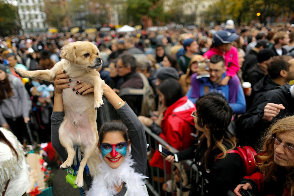 A reveller takes part in the annual halloween dog parade at Manhattan's Tompkins Square Park in New York, U.S. October 22, 2016.