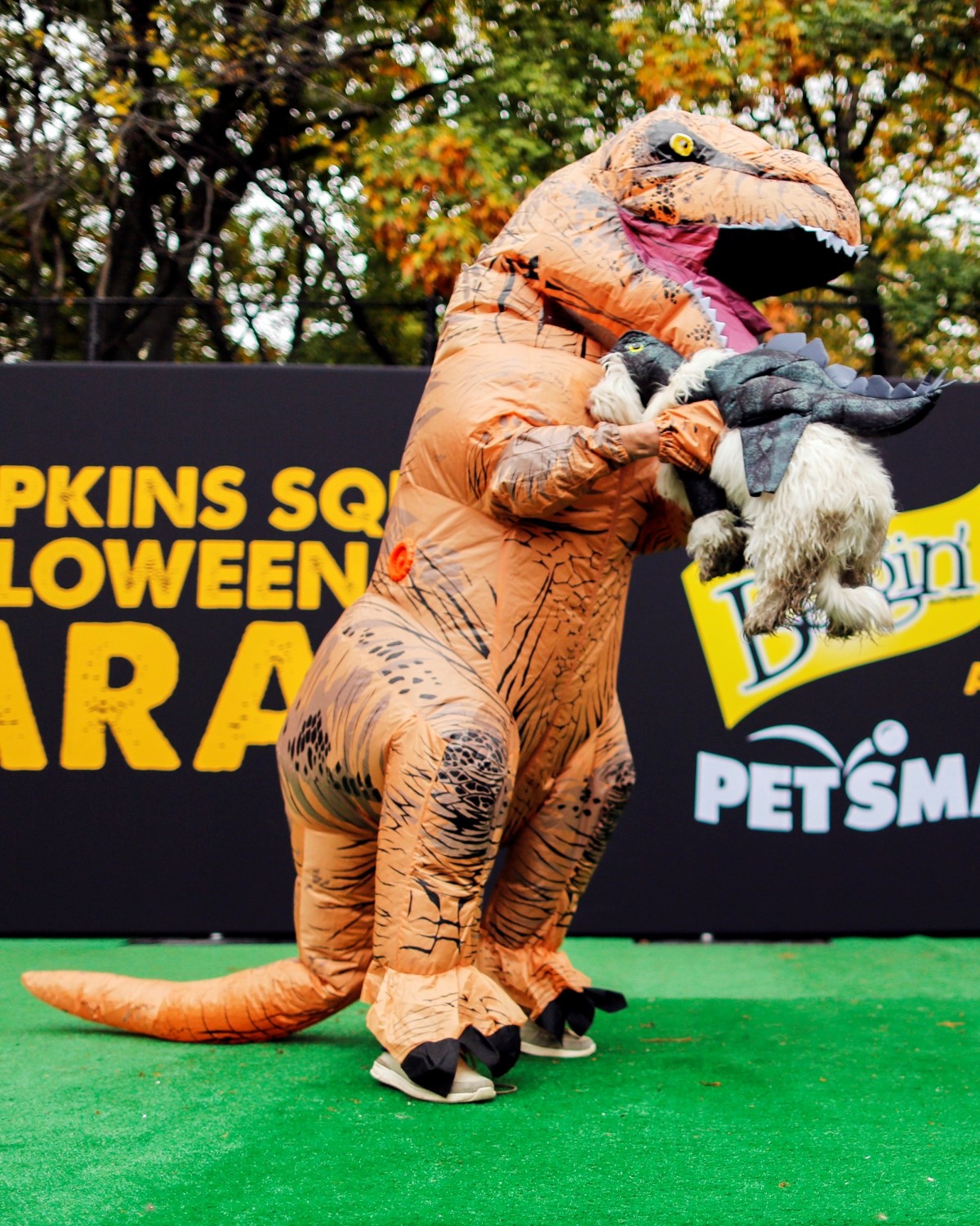 A reveller take part in the annual halloween dog parade at Manhattan's Tompkins Square Park in New York, U.S. October 22, 2016.