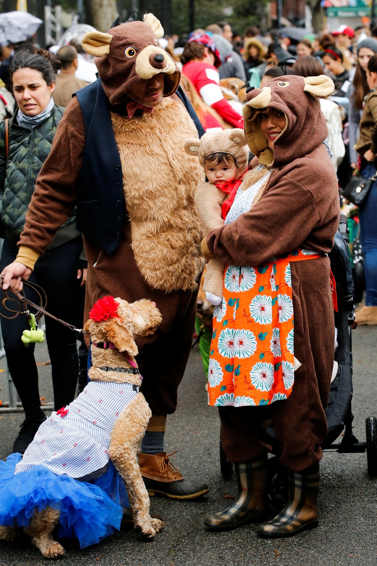 Revellers take part in the annual halloween dog parade at Manhattan's Tompkins Square Park in New York, U.S. October 22, 2016.