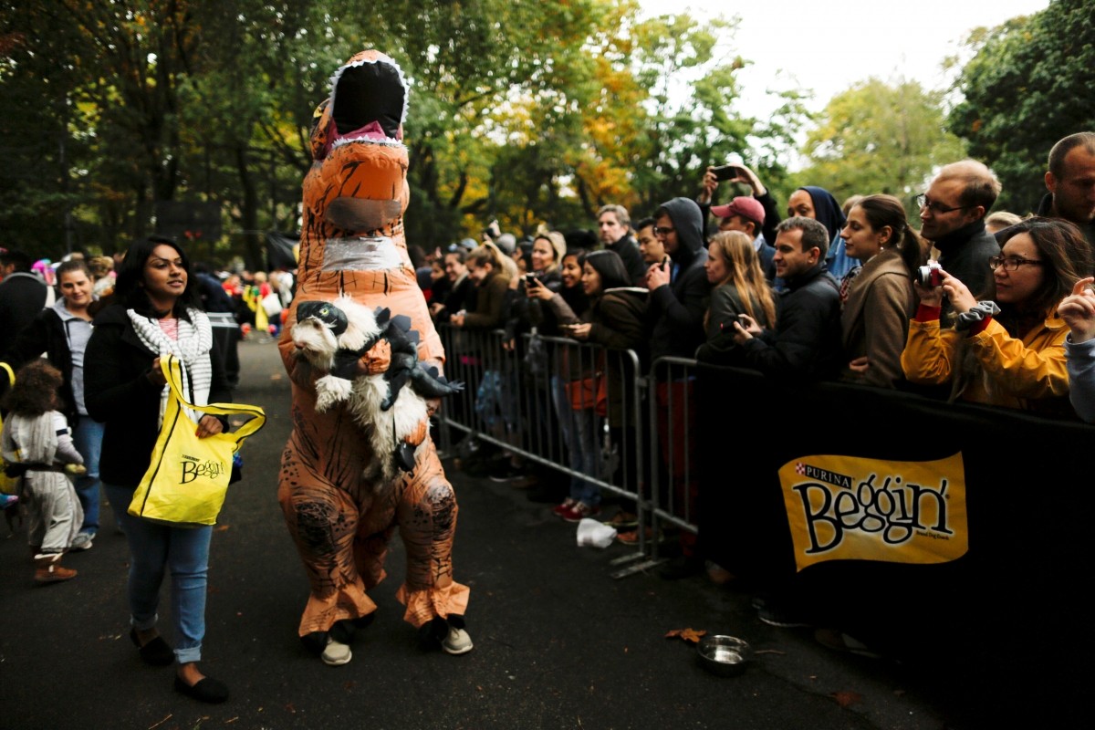 Revellers take part in the annual halloween dog parade at Manhattan's Tompkins Square Park in New York, U.S. October 22, 2016.