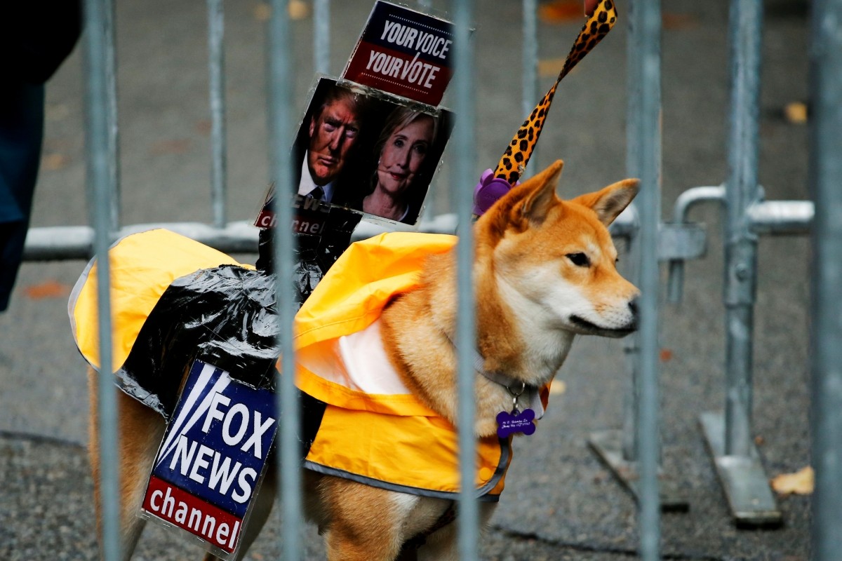 A dog dressed as Fox News channel with the pictures of Democratic U.S. presidential nominee Hillary Clinton (R) and Republican U.S. presidential nominee Donald Trump takes part in the annual halloween dog parade at Manhattan's Tompkins Square Park in New York, U.S. October 22, 2016.