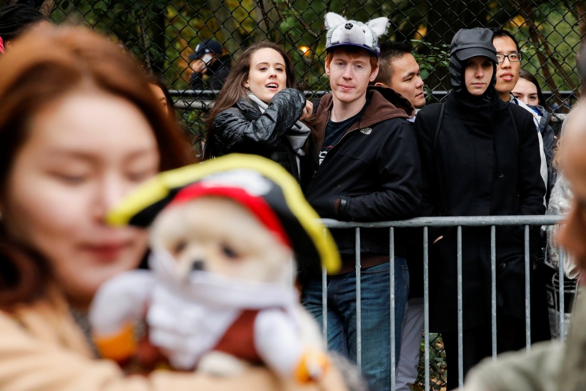 People look at the annual halloween dog parade at Manhattan's Tompkins Square Park in New York, U.S. October 22, 2016.