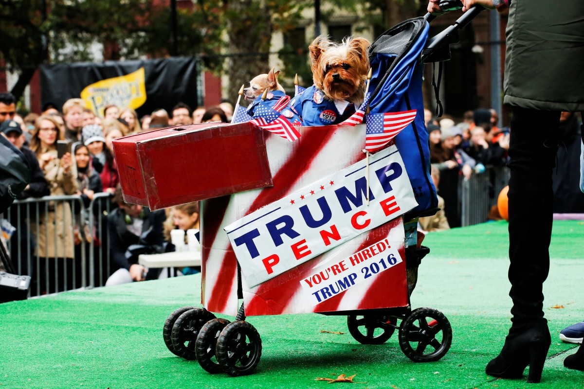 Dogs depicted as Democratic U.S. presidential nominee Hillary Clinton (L) and Republican U.S. presidential nominee Donald Trump take part in the annual halloween dog parade at Manhattan's Tompkins Square Park in New York, U.S. October 22, 2016.