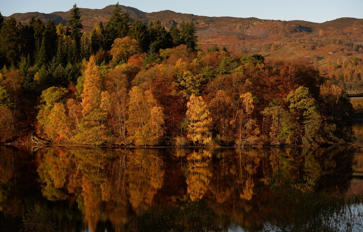 Autumnal leaves are reflected in Loch Faskally, near Pitlochry, Scotland Autumn Equinox