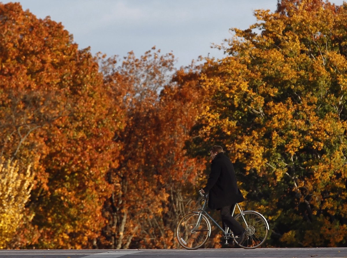 A cyclist peddles past the autumn foliage near the Capitol building on Capitol Hill in Washington Fall Foliage season