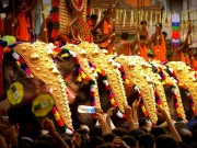 Caparisoned elephants during the Thrissur Festival