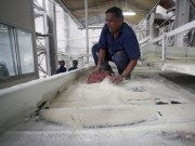 India sugar imports sugarcane