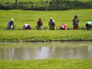 India GDP agriculture gdp estimate rural demand