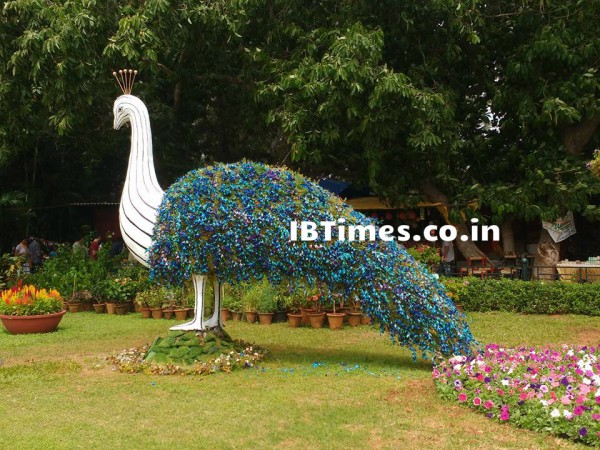 Independence Day 2016 Special: Lalbagh Flower show in 