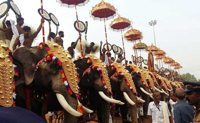 Elephants at the Thrissur Pooram festival
