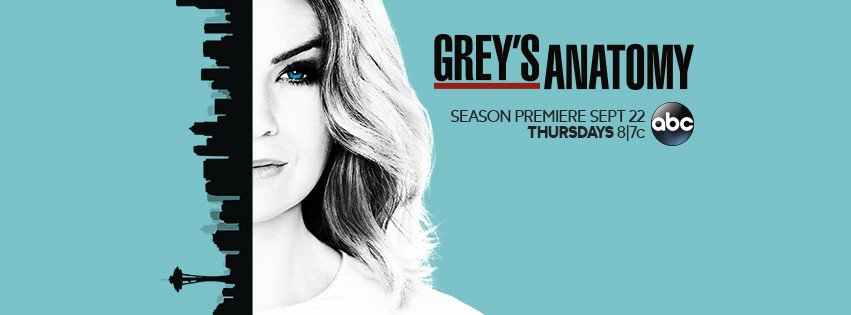 Pictured: The poster for Season 13 of Grey's Anatomy