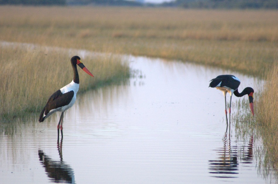 Okavango Delta, Botswana
Okavango Delta