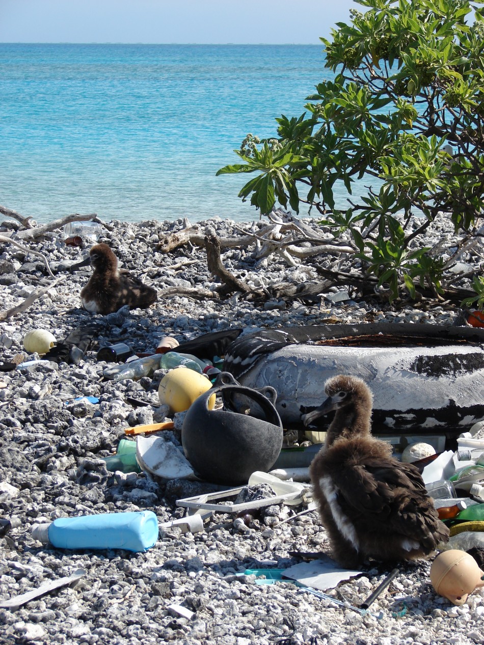 Midway Island Midway Island