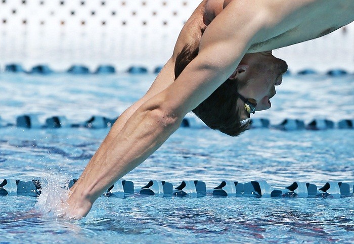 mical phelps vs shark mical phelps vs shark