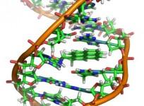 an-alien-dna-has-been-discovered-in-a-massive-scientific-breakthrough-that-could-possibly-prove-that-life-in-outer-space-exists-representational-picture-wikimedia-commons