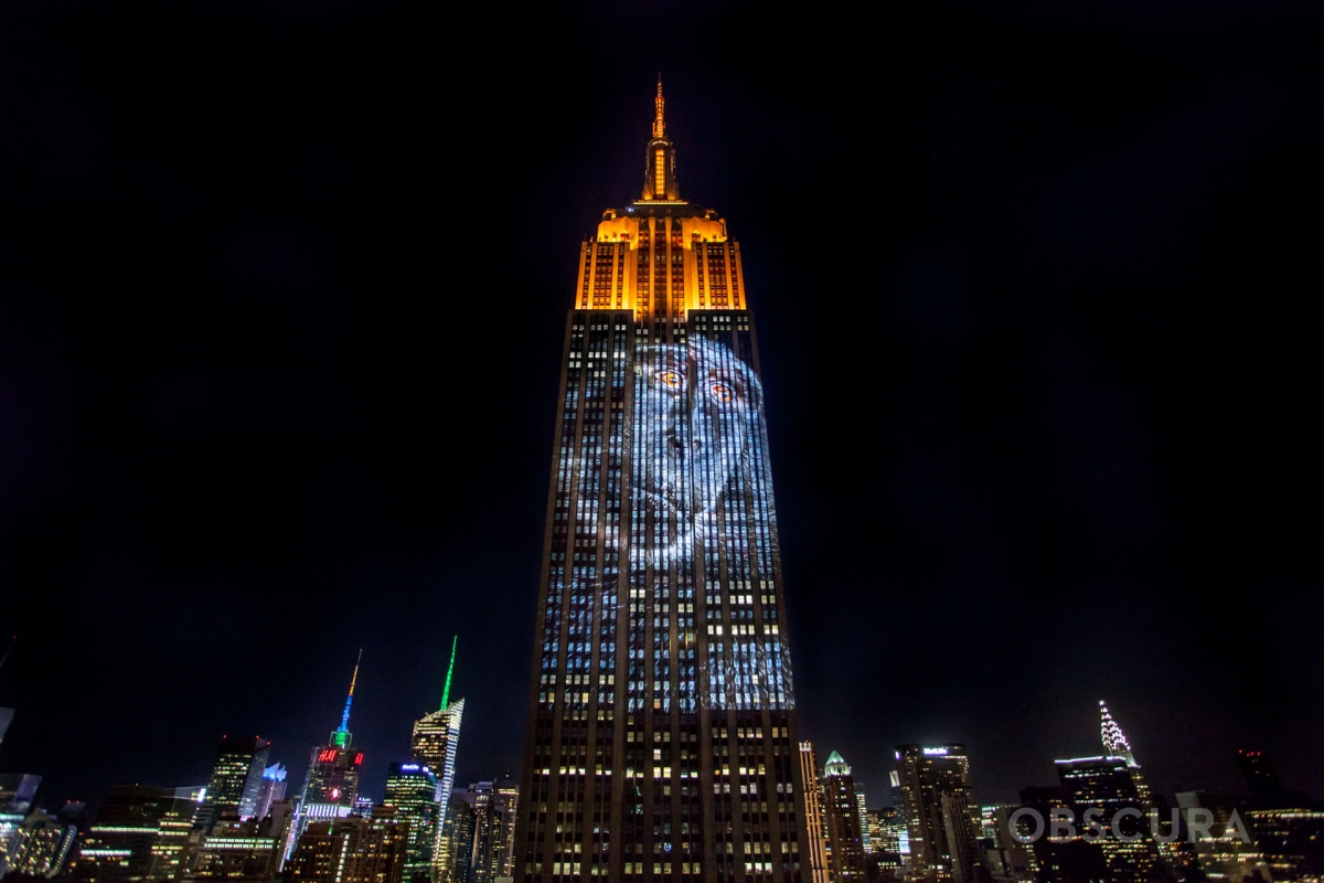 New York City The Fierce 'Maa Kali' Lights Up Empire State Building