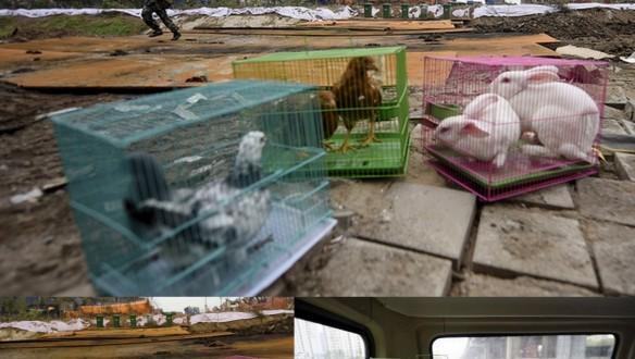 Gopi Chandra Kharel India Business News Ibtimes India