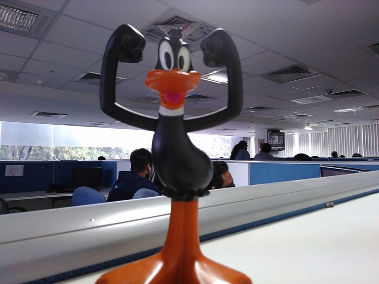 OnePlus X vs Obi Worldphone SF1: Camera samples