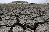 Drought