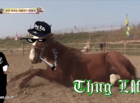 Horse thug life