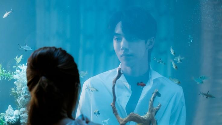 Watch Shocking Blue Online Watch Shocking Blue Online