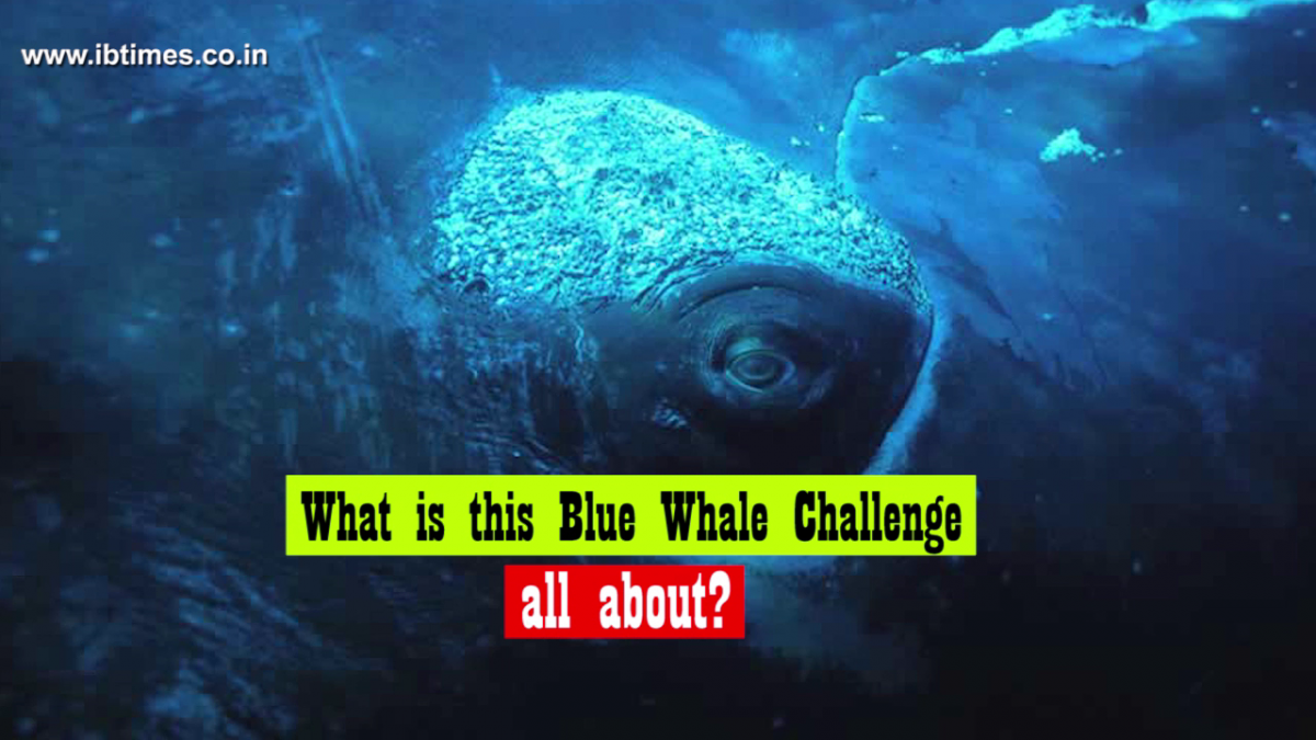 blue whale challenge apk