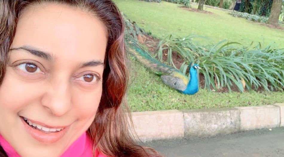 Pic  Juhi Chawla Shares Pose With A Peacock From Her Lush-Green Estate In Uganda - International Business Times, India