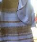 Confusion over the exact colour of the dress appearing in a picture in Tumbler has triggered a frenzied atmosphere.
