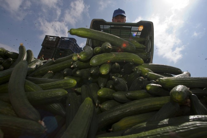 Cucumbers