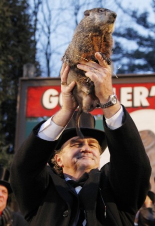 Groundhog handler John Griffith holds famed weather prognosticating groundhog Punxsutawney Phil up to the crowd 02/02/2012. Punxsutawney Phil