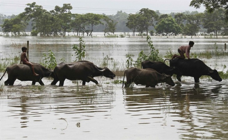 Northeast floods