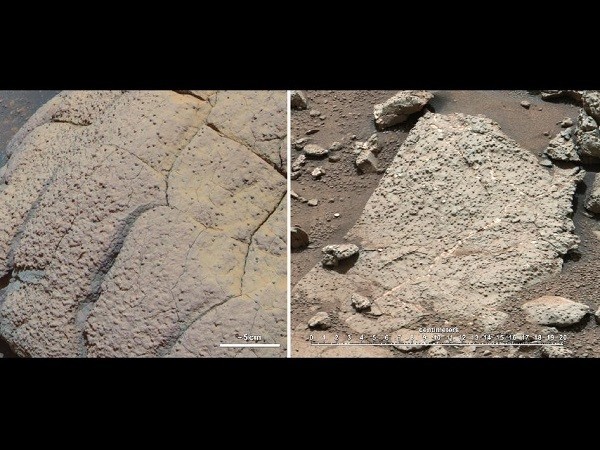 NASA Rover Curiosity