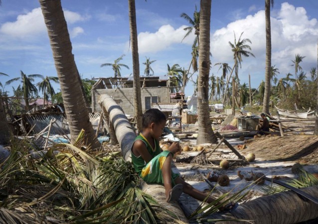 A child sits on a coconut tree bought down by Typhoon Haiyan on the beach on Bantayan island Typhoon Haiyan