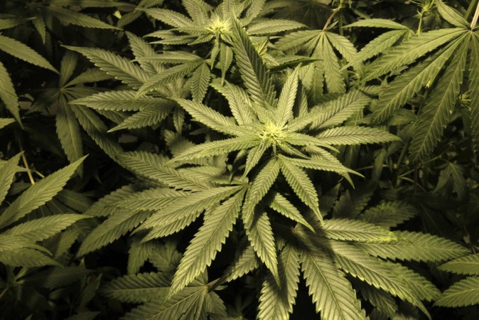 Getting Cannabis and Heroin in Pakistan is easier than ordering pizza, say experts. Marijuana