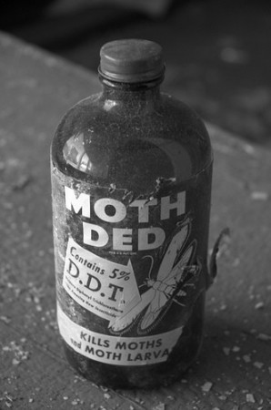 DDT