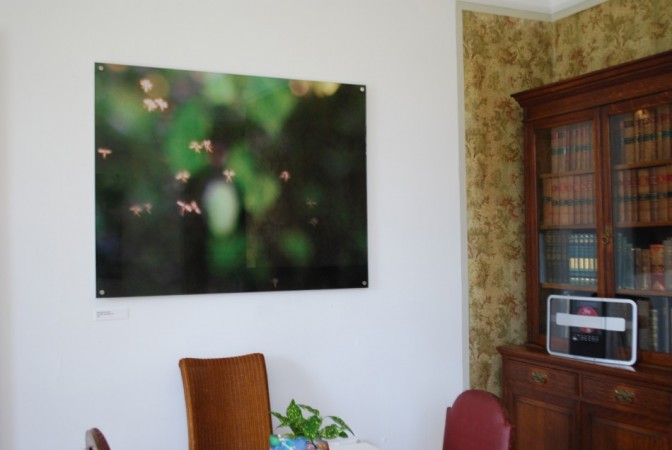 Installation shot of the pictures in The Whitaker Gallery, Rossendale (Photo: John Hyatt) Installation shot of the pictures in The Whitaker Gallery, Rossendale (Photo: John Hyatt)